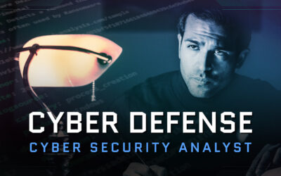 What does a Cyber Security Analyst do?